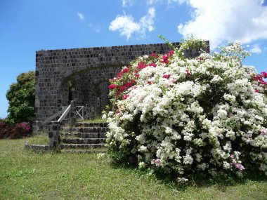St. Kitts / Nevis Küçük Antiller