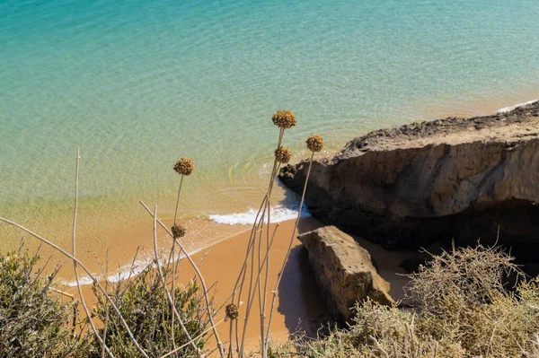 Algarve Portekiz Kıyı Şeridi — Stok fotoğraf