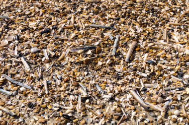 Soyut Arkaplan ya da duvar kağıdı olarak taşlar ya da kabuklar