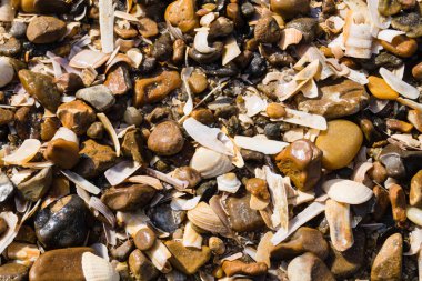 Soyut Arkaplan ya da duvar kağıdı olarak taşlar ya da kabuklar