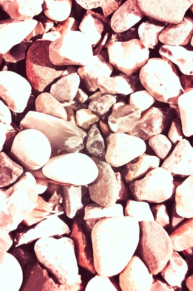 Kamienie Lub Muszle Jako Abstrakcyjne Tło Lub Tapety — Zdjęcie stockowe
