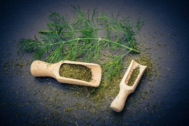 Dill bitkisi Anethum mezarlığı ve tahta kaşık.