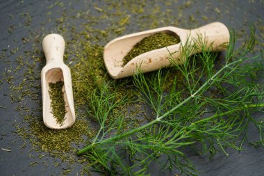 Dill bitkisi Anethum mezarlığı ve tahta kaşık.