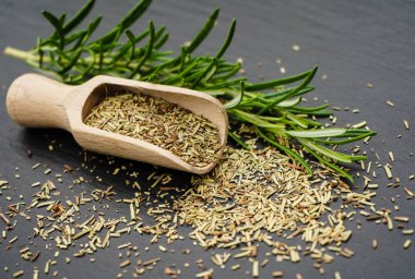 Rosemary Salvia Rosmarinus ve tahta kaşık.