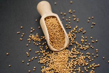 Hardal tohumları granum sinapis ve tahta kaşık.