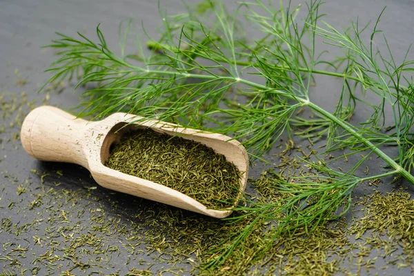 Dill Herbal Anethum Graveolens Dan Sendok Kayu — Stok Foto