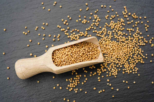 stock image Mustard seeds granum sinapis and a wooden spoon