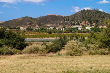 Portekiz 'deki Rasmalho' da bir leylek sürüsü.