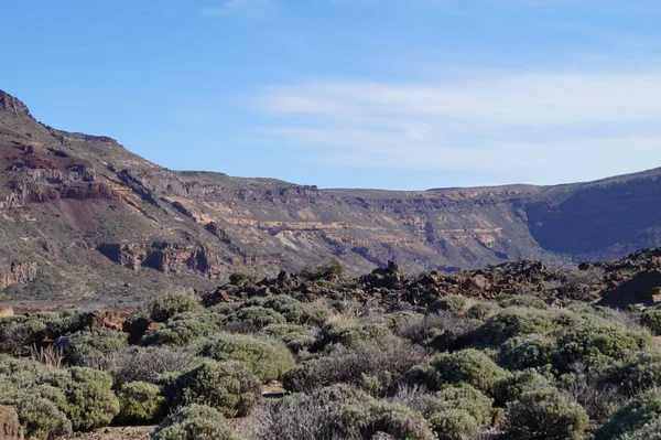 Teide Nationalpark Teneriffa Kanarische Insel — Stockfoto