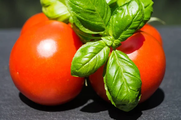 Vermelho Redondo Tomates Solanum Lycopersicum Uma Salada — Fotografia de Stock