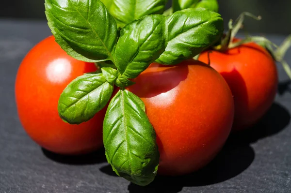 Vermelho Redondo Tomates Solanum Lycopersicum Uma Salada — Fotografia de Stock