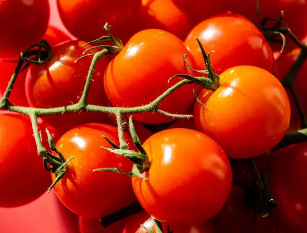 Salata Için Kırmızı Yuvarlak Domates Solanum Lycopersicum — Stok fotoğraf
