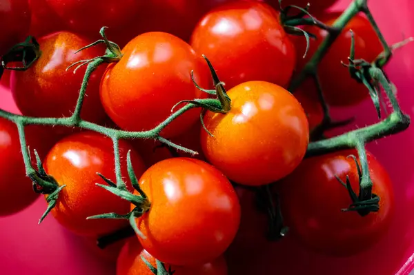 Vermelho Redondo Tomates Solanum Lycopersicum Uma Salada — Fotografia de Stock