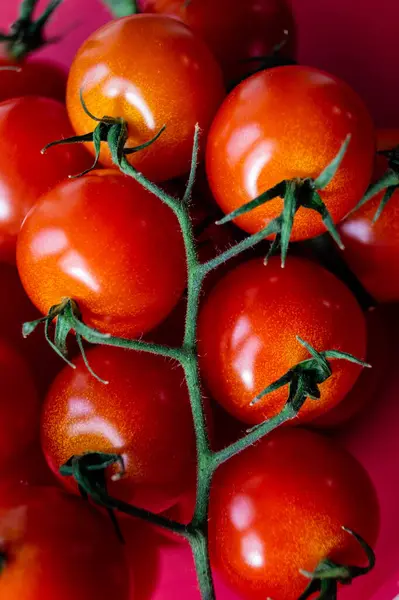 Vermelho Redondo Tomates Solanum Lycopersicum Uma Salada — Fotografia de Stock