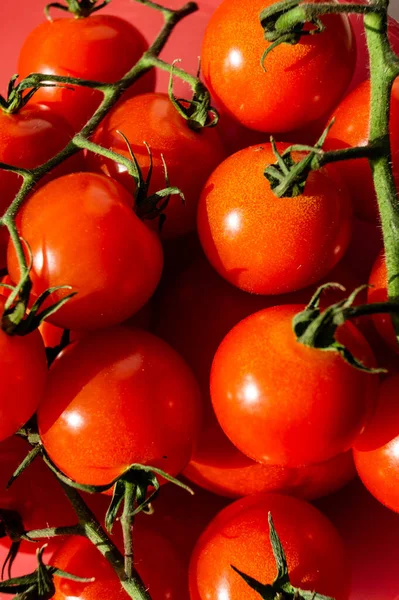Tomates Rondes Rouges Solanum Lycopersicum Pour Une Salade — Photo