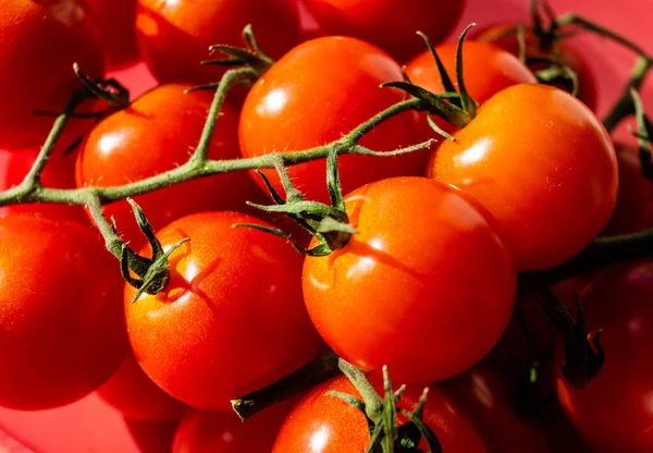 Pomodori Rotondi Rossi Solanum Lycopersicum Insalata — Foto Stock