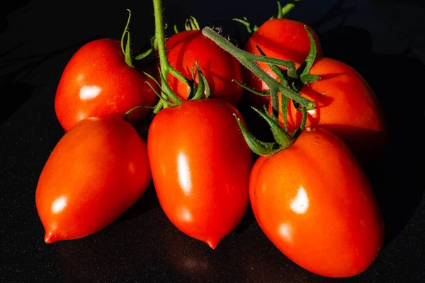 赤丸トマト Solanumサラダ用のリコプソリウム — ストック写真