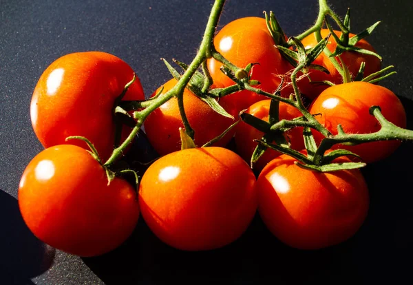 Vermelho Redondo Tomates Solanum Lycopersicum Uma Salada — Fotografia de Stock