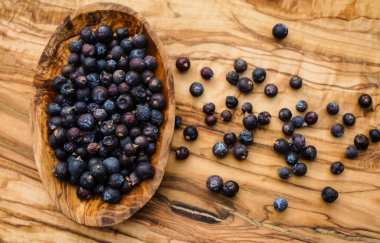Zeytin ağacında kurutulmuş ardıç meyvesi.