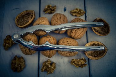 Ceviz ağacının meyveleri.