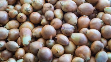 Farklı türde soğanlar.