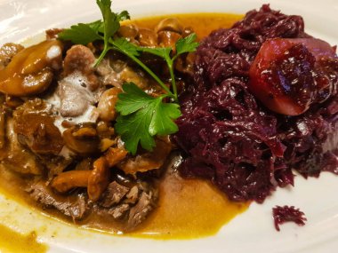 Kırmızı lahana ve orman mantarlı yabani Ragout.