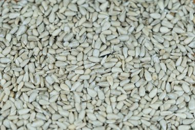 Ayçiçeği ve tohum