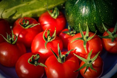 Kırmızı yuvarlak domatesler Solanum Lycopersicum salata veya çorba için