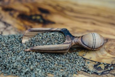 zeytin ağacında anason tohumu