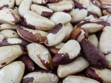 Brezilya zeytin ağacında fındık