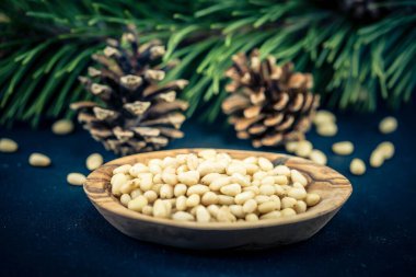 Sedir konileri ve zeytin ağacında fındıklar