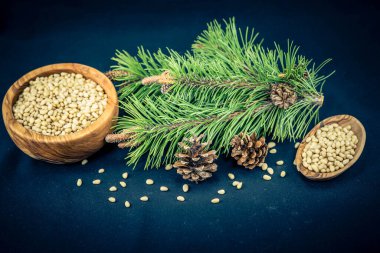 Sedir konileri ve zeytin ağacında fındıklar