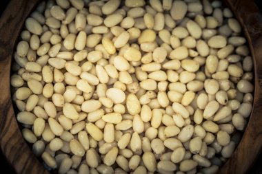 Sedir konileri ve zeytin ağacında fındıklar