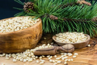 Sedir konileri ve zeytin ağacında fındıklar