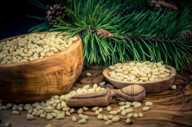 Sedir konileri ve zeytin ağacında fındıklar