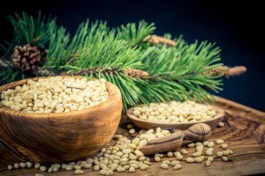 Sedir konileri ve zeytin ağacında fındıklar