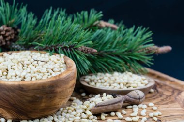 Sedir konileri ve zeytin ağacında fındıklar