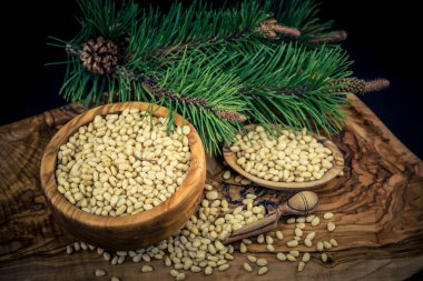 Sedir konileri ve zeytin ağacında fındıklar