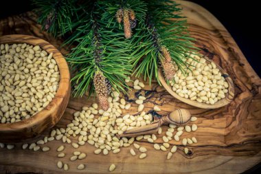 Sedir konileri ve zeytin ağacında fındıklar