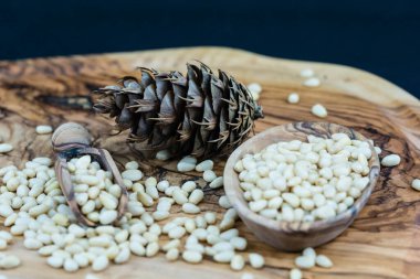 Sedir konileri ve zeytin ağacında fındıklar