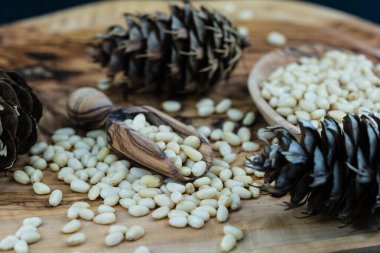 Sedir konileri ve zeytin ağacında fındıklar