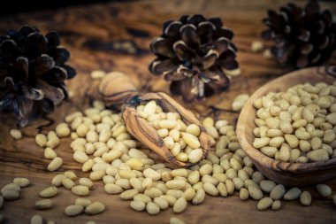 Sedir konileri ve zeytin ağacında fındıklar