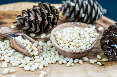 Sedir konileri ve zeytin ağacında fındıklar