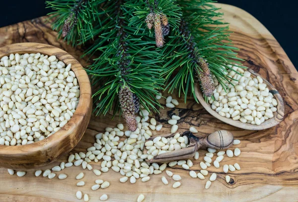 Sedir konileri ve zeytin ağacında fındıklar