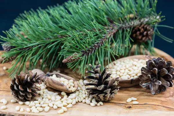 Sedir konileri ve zeytin ağacında fındıklar