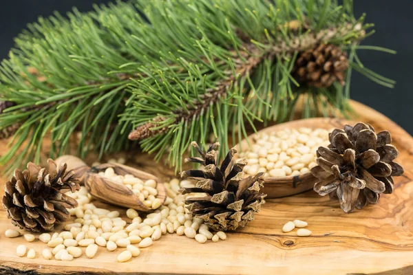 Sedir konileri ve zeytin ağacında fındıklar