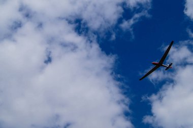 Doğa koruma alanında Fischbeker Heide Hamburg Almanya 'sının yanında