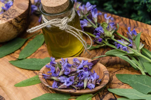 Purple Sage Flowers Leaves — Stock Photo, Image