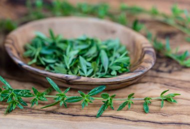 lezzetli satureja hortensis lezzetli mutfak otları