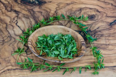 lezzetli satureja hortensis lezzetli mutfak otları